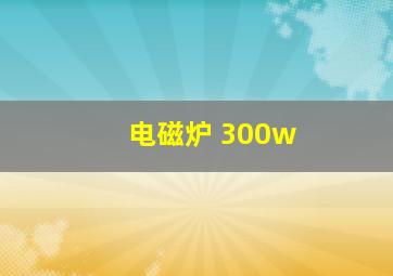 电磁炉 300w